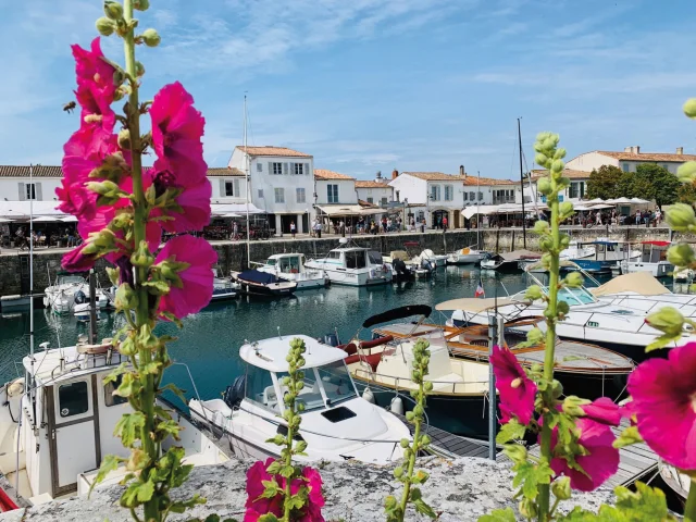 Bateaux Et Fleurs Port Saint Martin Jerome Lechelle